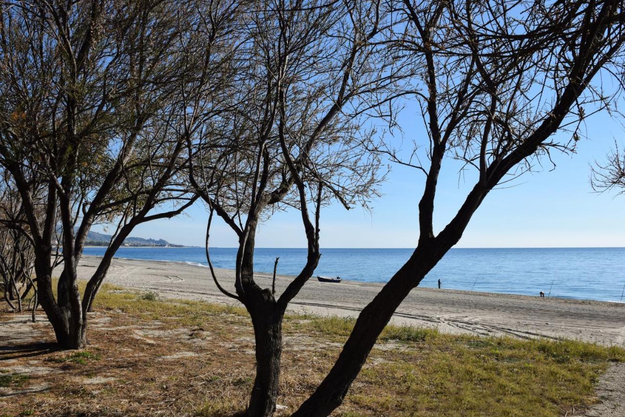 Accomodati B&B Marina di Gioiosa Ionica Eksteriør billede